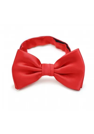 Papillon e scialle decorativo da uomo in rosso