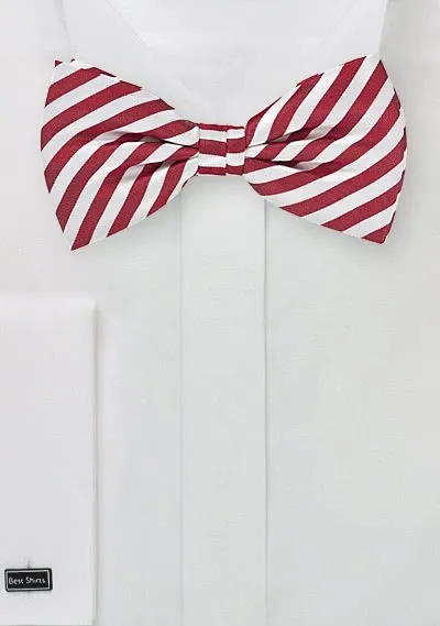 Papillon rosso bianco righe