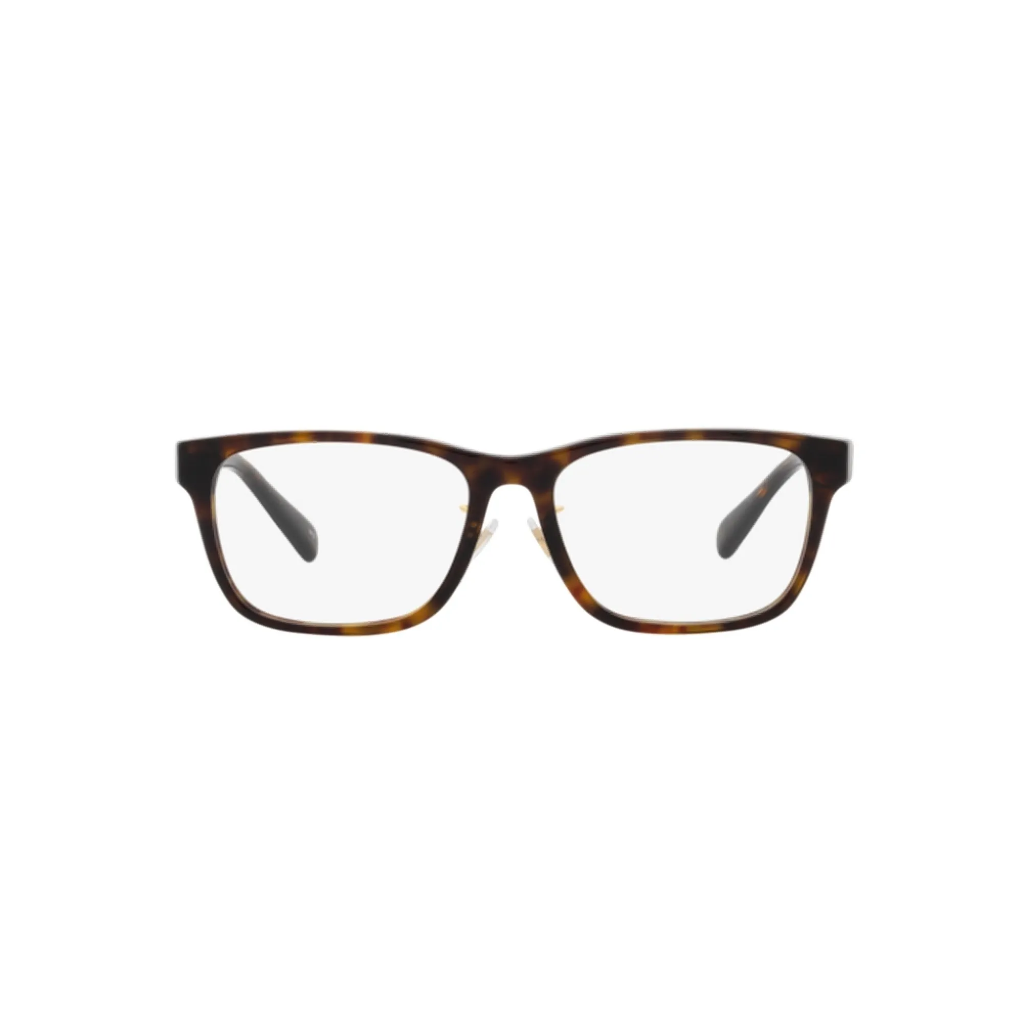   Polo PH 2249D - 5003 Shiny Havana | Occhiale Da Vista Uomo 