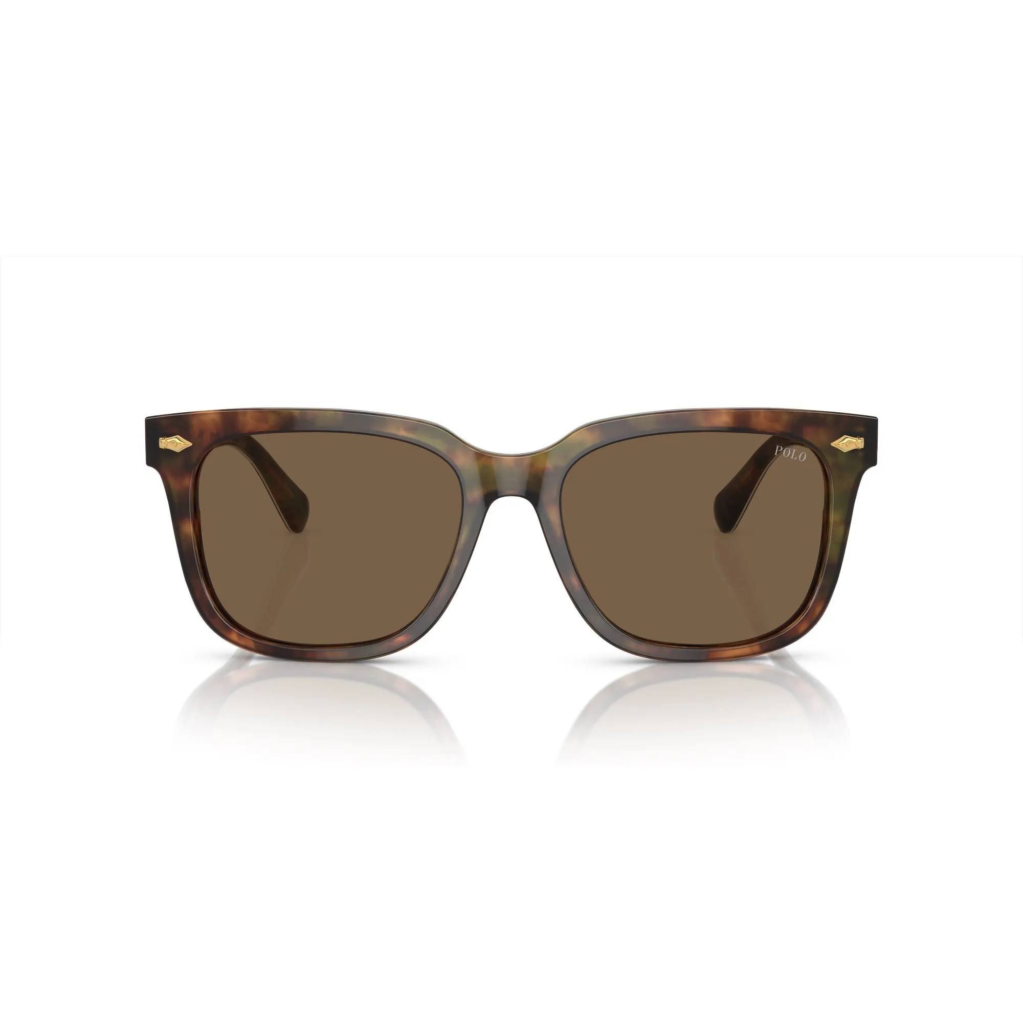   Polo PH 4210 - 501773 Tartaruga Marrone Lucida | Occhiale Da Sole Uomo 