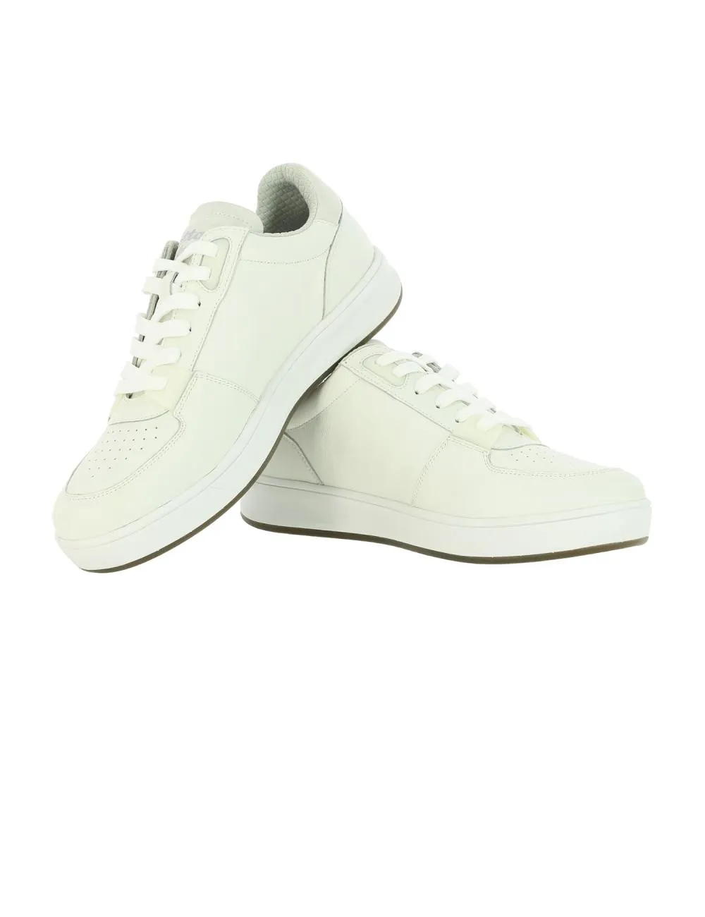 Sneaker Signature Low Lotto Leggenda    